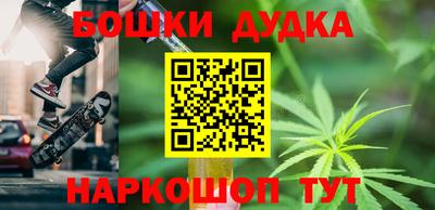СК Гатчина