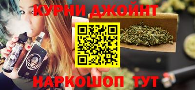 СК Гатчина