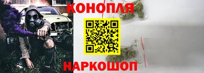 СК Гатчина