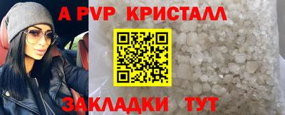 СК Гатчина