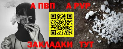 СК Гатчина