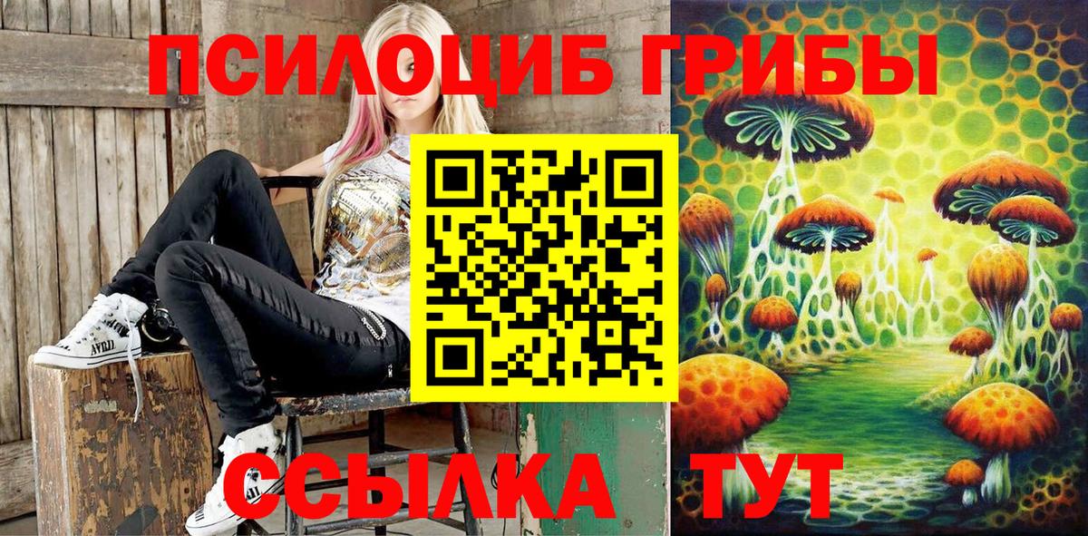 Галлюциногенные грибы Psilocybine cubensis Нижний Тагил